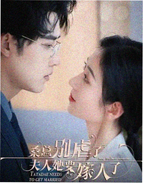 镜中罪 电视剧封面